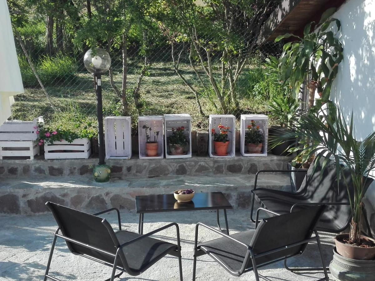 La Casa Nel Sole Apartment Alessandria Bagian luar foto