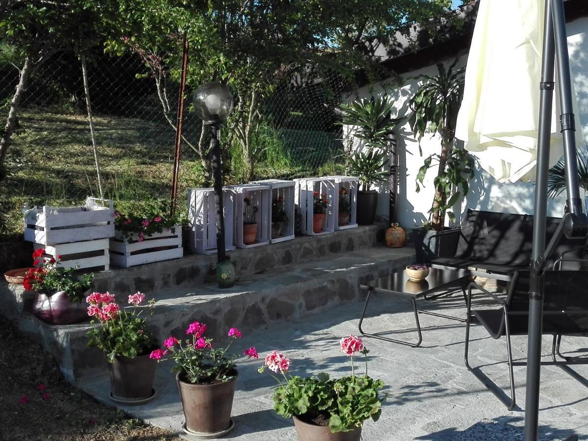La Casa Nel Sole Apartment Alessandria Bagian luar foto