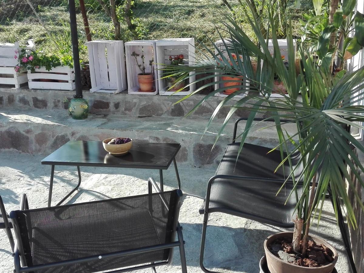 La Casa Nel Sole Apartment Alessandria Bagian luar foto